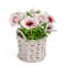 10" Anemone Flower Bouquet In White Basket